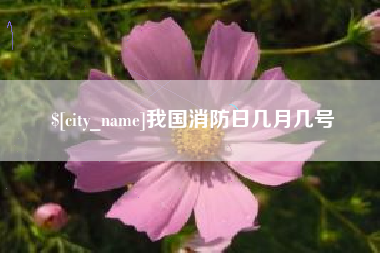 镇江我国消防日几月几号