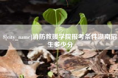 镇江消防救援学院报考条件湖南招生多少分