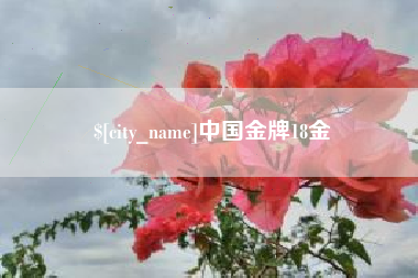 镇江中国金牌18金
