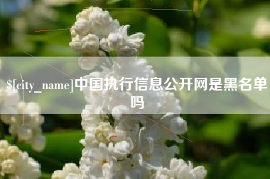镇江中国执行信息公开网是黑名单吗