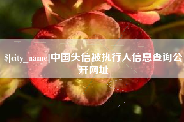 镇江中国失信被执行人信息查询公开网址