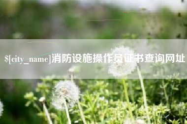 镇江消防设施操作员证书查询网址