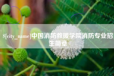 镇江中国消防救援学院消防专业招生简章