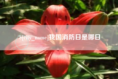 镇江我国消防日是哪日