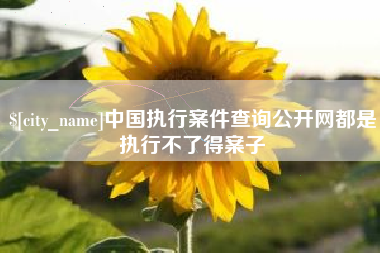 镇江中国执行案件查询公开网都是执行不了得案子