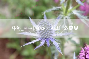 镇江消防ccc认证什么意思