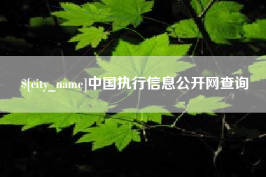 镇江中国执行信息公开网查询