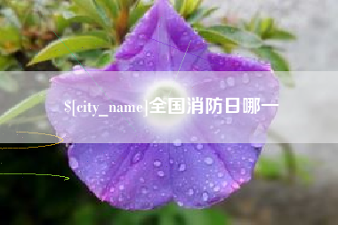 镇江全国消防日哪一