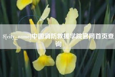镇江中国消防救援学院官网首页查询