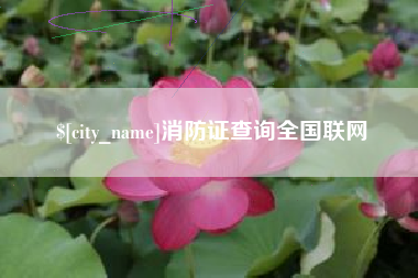 镇江消防证查询全国联网
