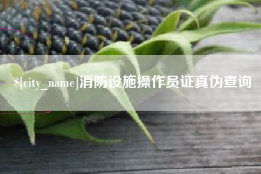 镇江消防设施操作员证真伪查询