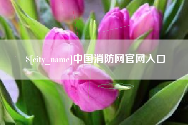 镇江中国消防网官网入口
