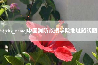 镇江中国消防救援学院地址路线图