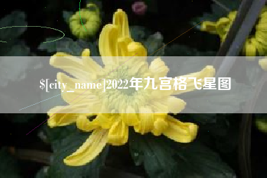 镇江2022年九宫格飞星图