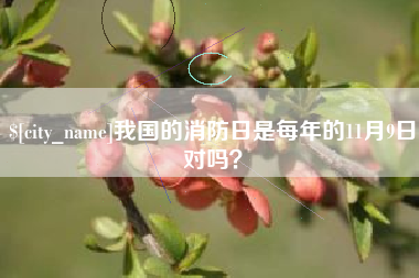 镇江我国的消防日是每年的11月9日对吗？