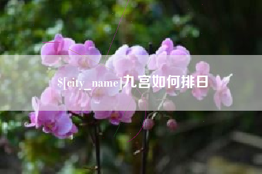 镇江九宫如何排日
