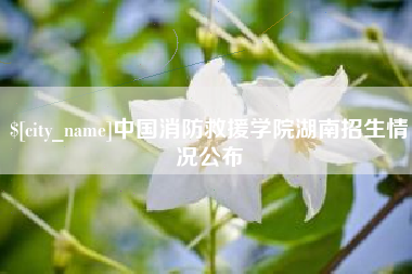 镇江中国消防救援学院湖南招生情况公布
