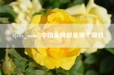 镇江中国金牌都是哪个项目