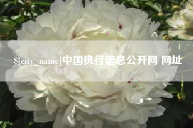 镇江中国执行信息公开网 网址