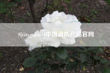 镇江中国消防产品官网