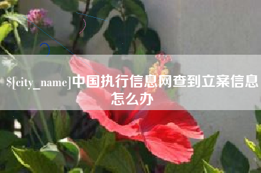镇江中国执行信息网查到立案信息怎么办
