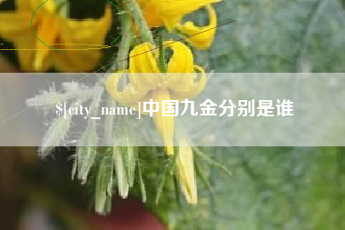 镇江中国九金分别是谁
