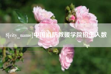 镇江中国消防救援学院招生人数