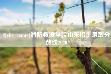 镇江消防救援学院山东招生录取分数线2020