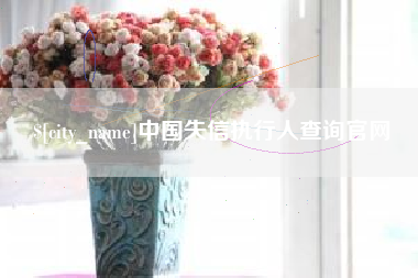 镇江中国失信执行人查询官网