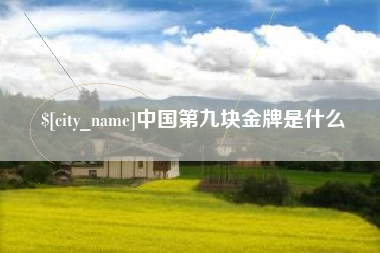 镇江中国第九块金牌是什么