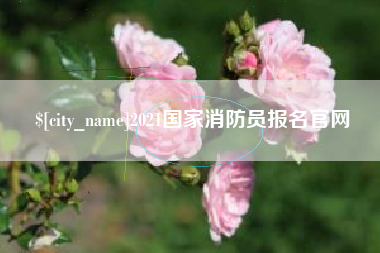 镇江2021国家消防员报名官网