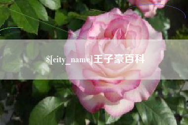 镇江王子豪百科