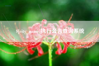 镇江执行公告查询系统