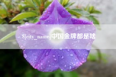 镇江中国金牌都是啥