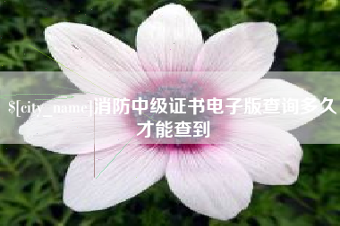 镇江消防中级证书电子版查询多久才能查到