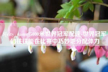 镇江5000米世界冠军配速-世界冠军们往往能在比赛中巧妙地分配体力