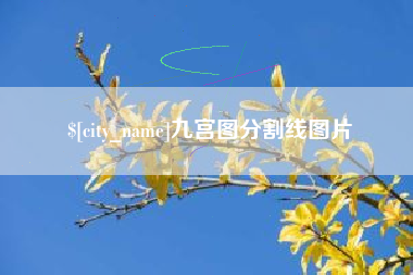 镇江九宫图分割线图片