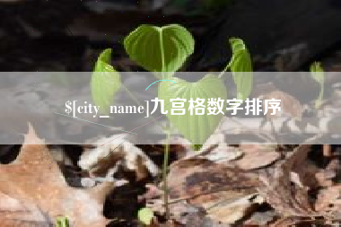 镇江九宫格数字排序