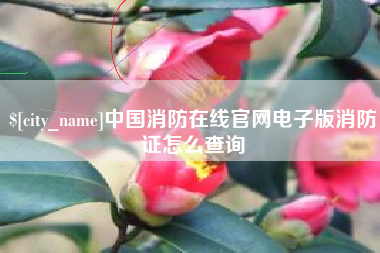 镇江中国消防在线官网电子版消防证怎么查询