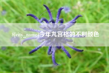 镇江今年九宫格的不利颜色