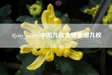 镇江中国九枚金牌是哪九枚