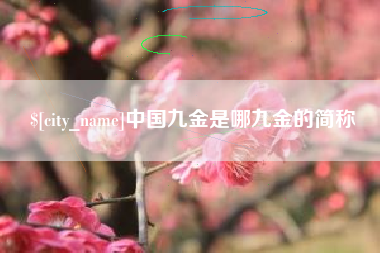 镇江中国九金是哪九金的简称