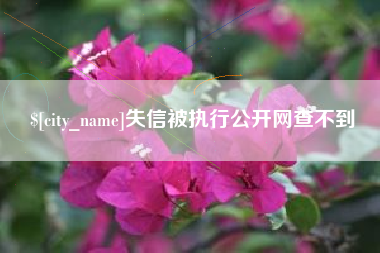 镇江失信被执行公开网查不到