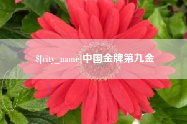镇江中国金牌第九金