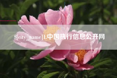 镇江1.中国执行信息公开网
