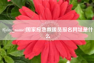 镇江国家应急救援员报名网址是什么