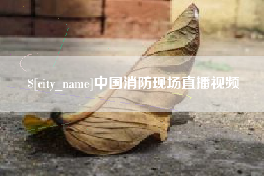 镇江中国消防现场直播视频