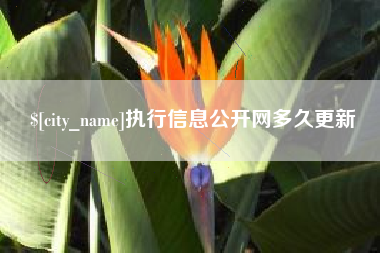 镇江执行信息公开网多久更新