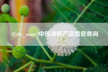 镇江中国消防产品信息查询