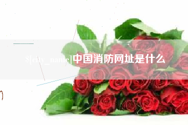 镇江中国消防网址是什么